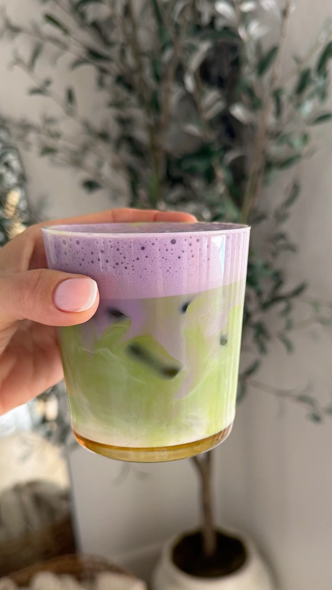 Ube Matcha 16 oz